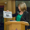 Alison Johnstone MSP Opens the Event